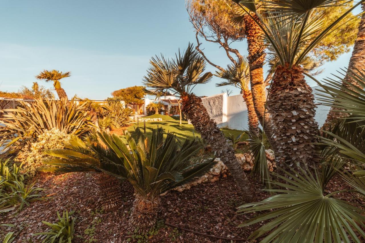 Echi Di Puglia Marsento Bed & Breakfast Polignano a Mare Eksteriør bilde